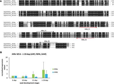 Using RT-qPCR, Proteomics, and Microscopy to Unravel the Spatio-Temporal Expression and Subcellular Localization of Hordoindolines Across Development in Barley Endosperm